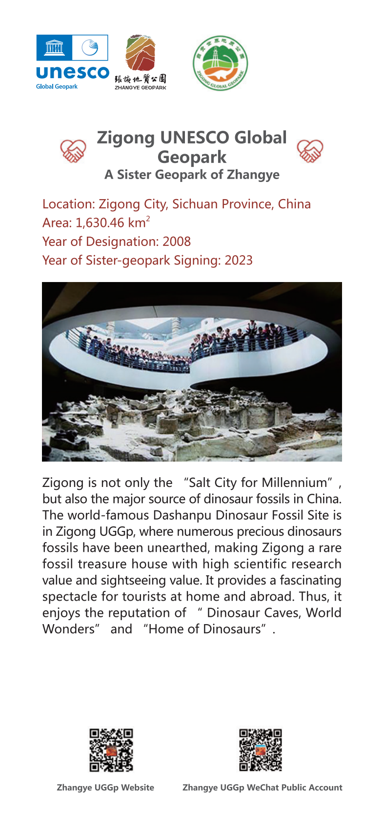 微信图片_20230725093636_1.png
